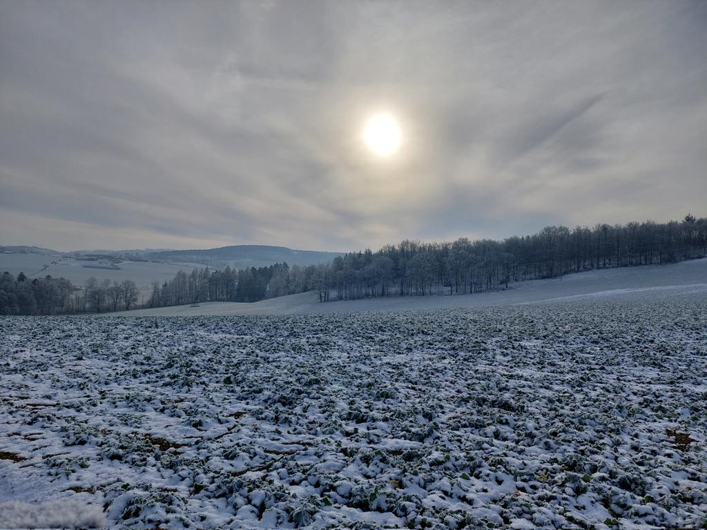 pvdbeck's tweet photo. Frostiges Sauerland bei Affeln. #winterfeature #sauerland #frost https://t.co/9qldpcBmOj