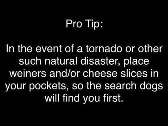 DarwinDogs's tweet photo. So keep a wiener in your pocket? 😏

https://t.co/Ev1KLGQyKy
#HelpfulTips #weinerdog #doglife #rescuedog #disastertips #doglover https://t.co/Kzrz8Rj9FX