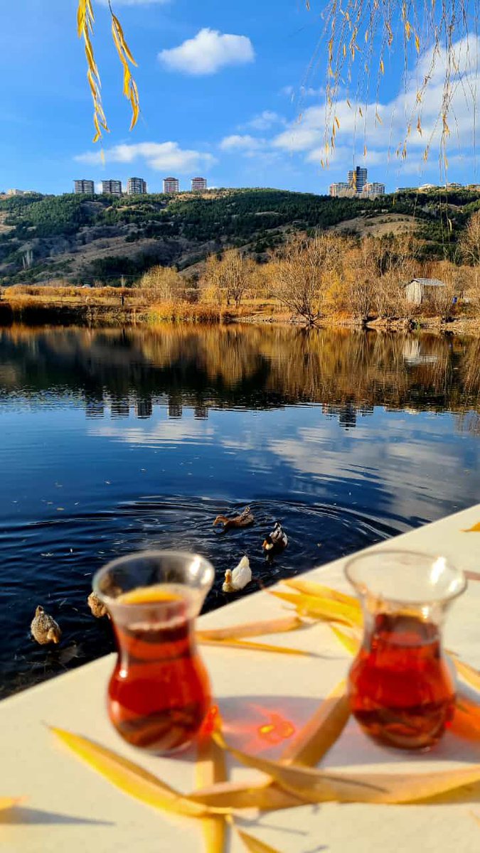 murtkarts's tweet photo. Kahve tek başına içilir
Çay iki kişiyle içilir https://t.co/w6ZqaeSmm6