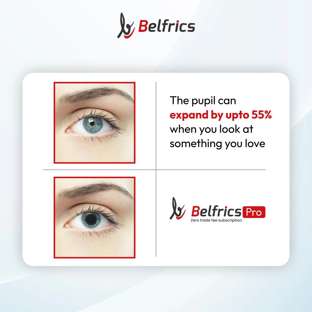 Belfrics Global tweet media
