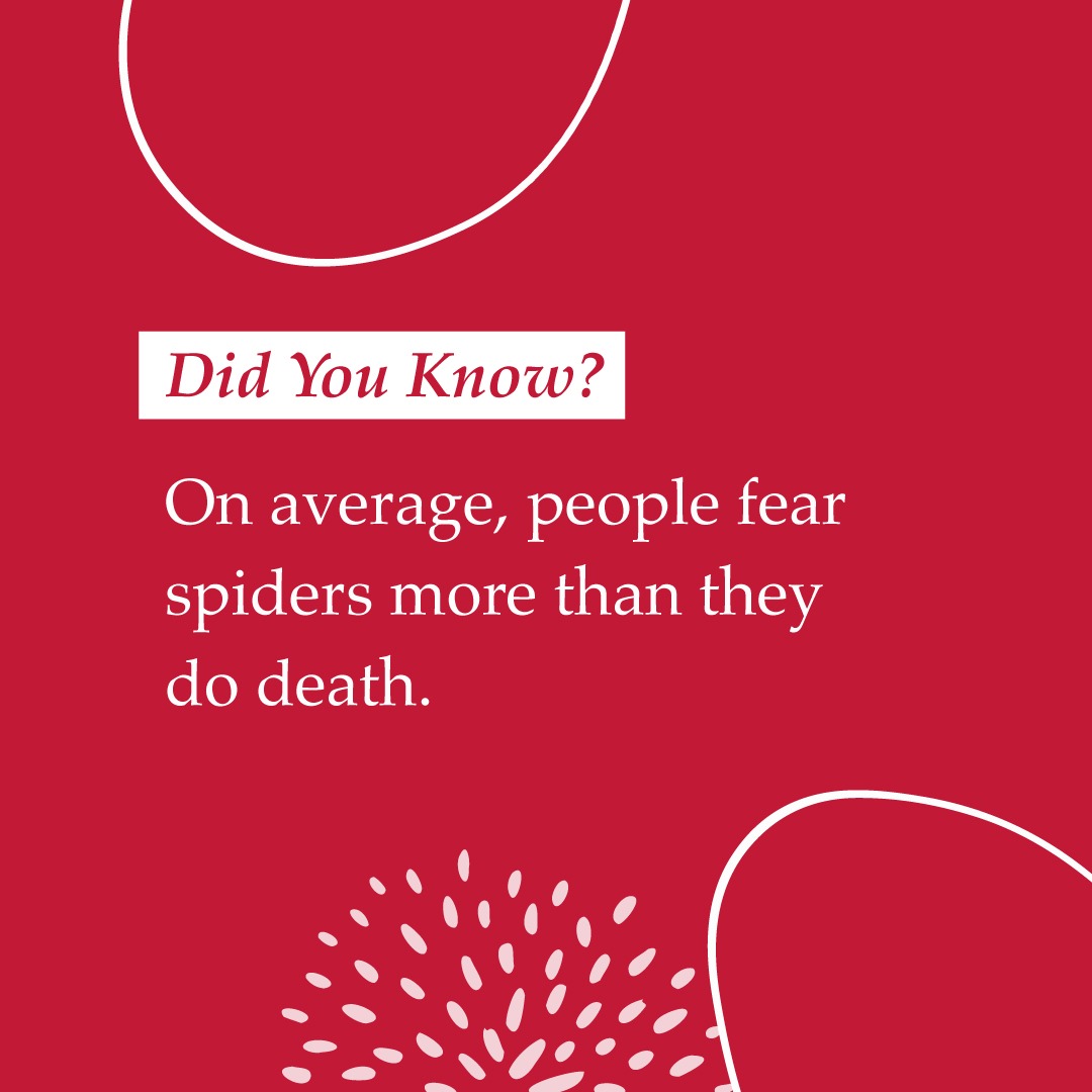 Arachnophobia is no joke! 

#fact #factoftheday #random #randomfacts #generalknowledge