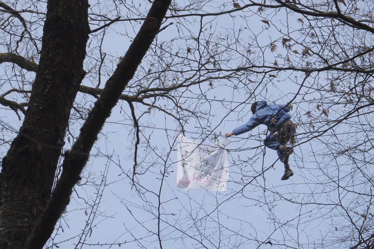 Grüne in Frankfurt,
Grüne in Hessen,
Grüne in Berlin
Und die Bäume fallen trotzdem
Heuchler

<a href="/RiWaTu_stoppen/">Fecher (im Exil) @Riederwald@climatejustice.social</a> #FecherBleibt
#fechenheimerwald #frankfurt
<a href="/FFF_Frankfurt/">Fridays for Future Frankfurt am Main</a> <a href="/endegelaendeFfm/">Ende Gelände Frankfurt</a>