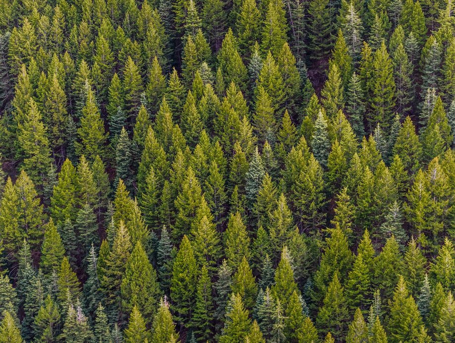 Stefan Pauliuk (@stefanpauliuk) on Twitter photo The next session of the <a href="/IS4IE/">International Society for Industrial Ecology</a> SEM section's Perpetual Online Conference is up!
Topic: Sustainable use of forest biomass
Date and time: January 23rd, 11:00-13:00 UTC
Organized by: Asst. Prof. Naho Yamashita, Nagoya University, Japan
Access here:
is4ie.org/announcements/… The next session of the <a href="/IS4IE/">International Society for Industrial Ecology</a> SEM section's Perpetual Online Conference is up!
Topic: Sustainable use of forest biomass
Date and time: January 23rd, 11:00-13:00 UTC
Organized by: Asst. Prof. Naho Yamashita, Nagoya University, Japan
Access here:
is4ie.org/announcements/…