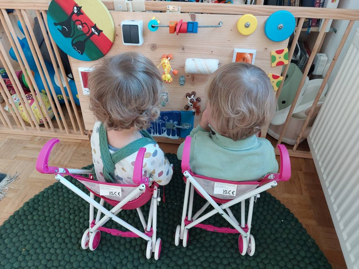 Sabine Langmann tweet media