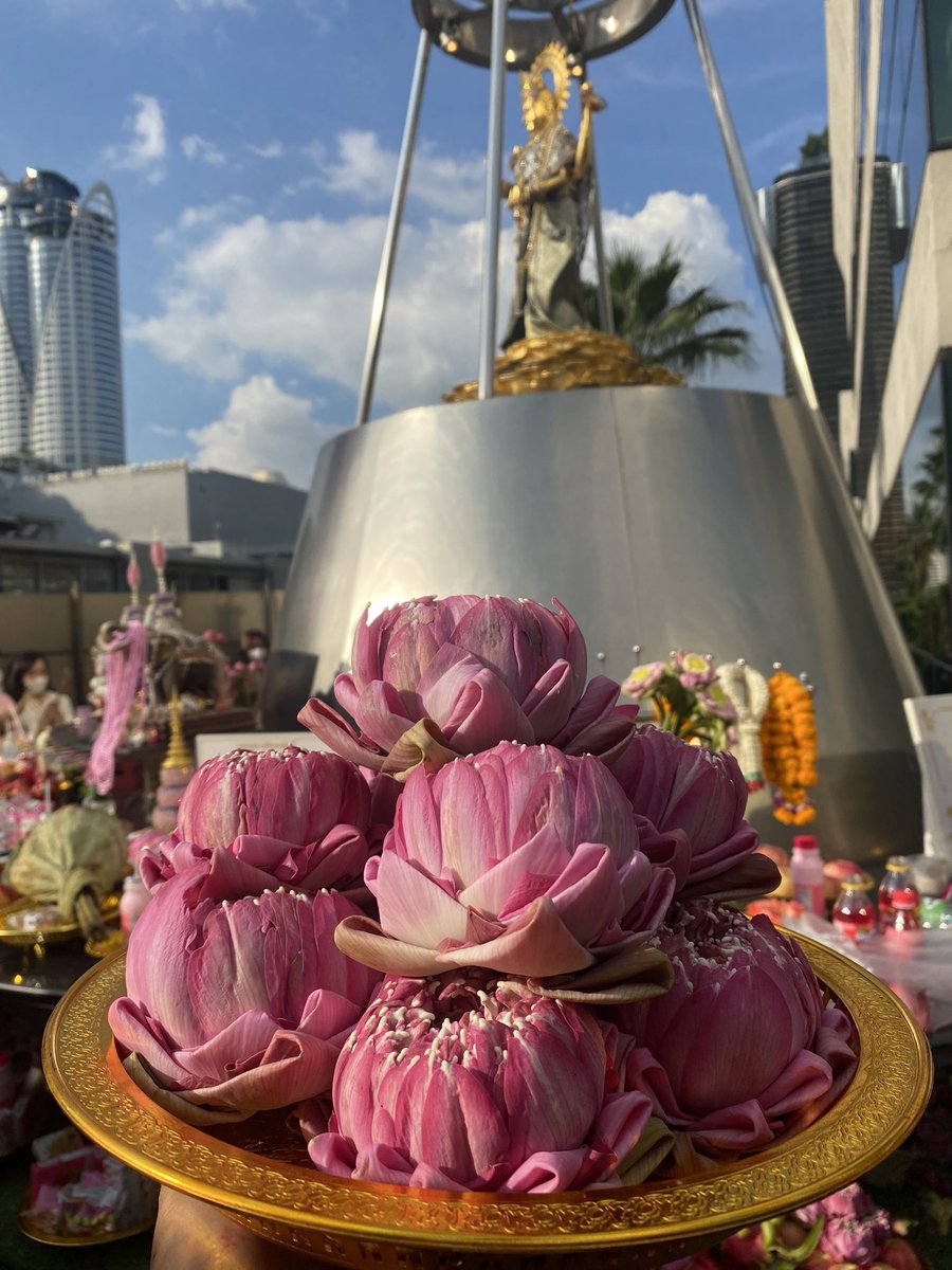 KanYaPhakSEP's tweet photo. ฝากถวายพระแม่ลักษมี ตึกเกษร วันที่ 27/1/66

พระแม่ลักษมีมีความโดดเด่นด้านการขอพรในเรื่อง ความรัก การค้าขาย เจรจาธุรกิจโดยเฉพาะกับธุรกิจความสวยงาม ความบันเทิง 

รายการแนะนำดอกบัว 8 ดอก💕

รายการจัดถวายรายละเอียดในรูปเลยค่ะ🫶🏻 https://t.co/ybZkaOoczg