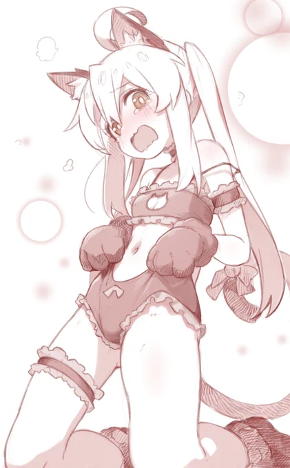 🐱 