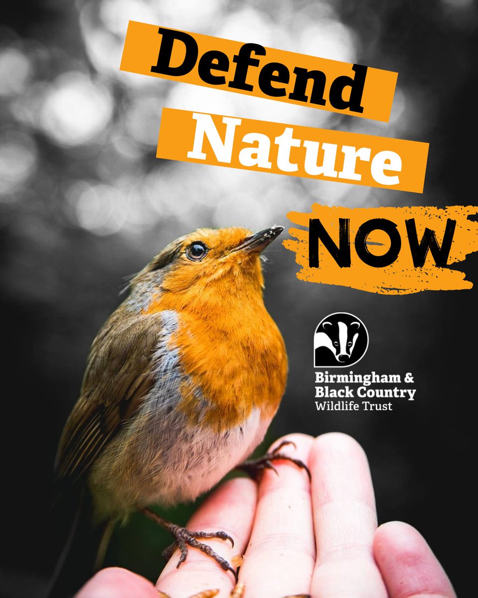 🚨The #RetainedEULawBill has its final reading in the House of Commons today.

❌It threatens more than 1000 laws which protect the wildlife and wild spaces we love.

🌳It is a wrecking ball swinging at the very heart of our natural world and it must be scrapped #DefendNature