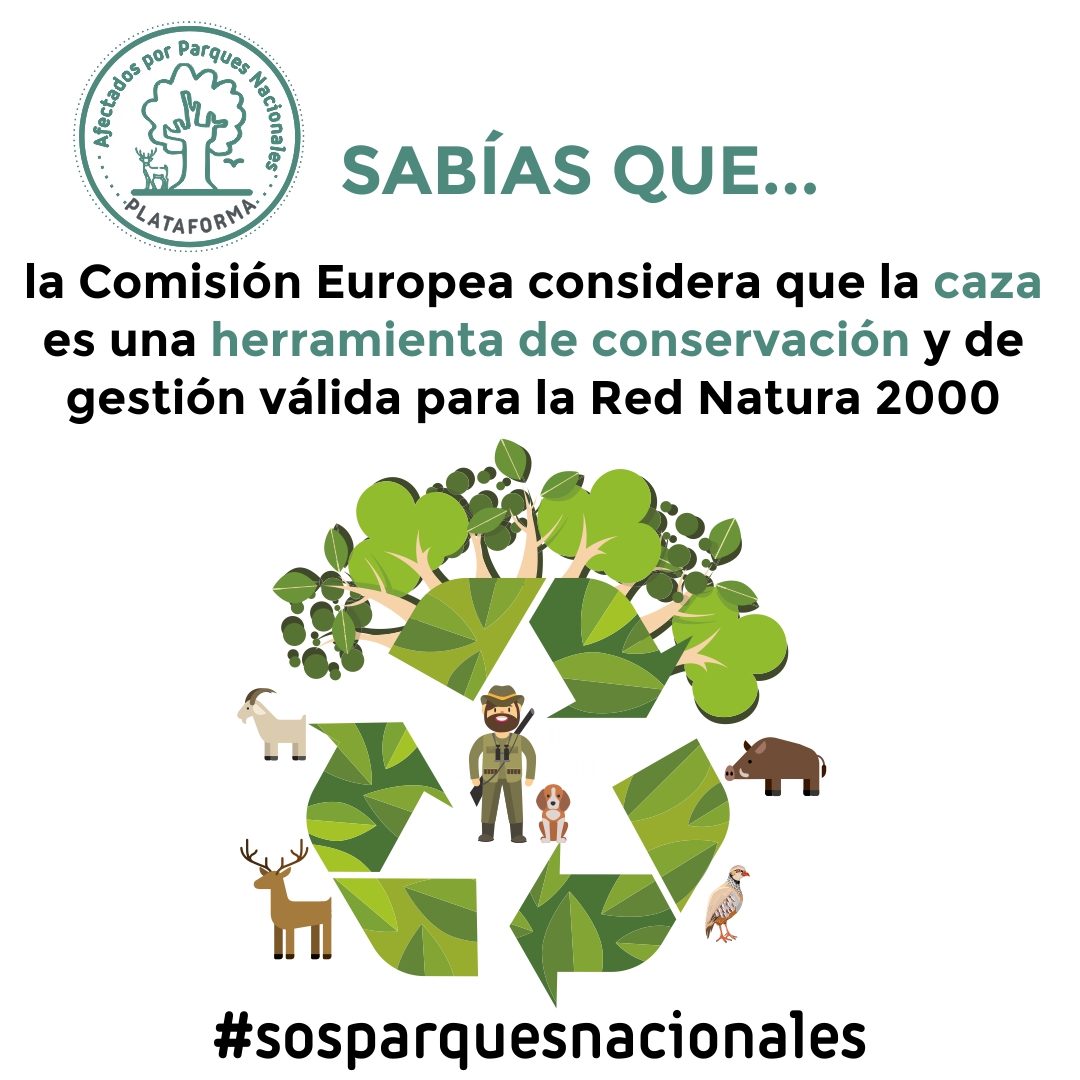 En nuestros parques nacionales...

🟢 La caza es conservación
🟢 La caza es gestión
🟢 La caza es protección de los ecosistemas

#sosparquesnacionales

<a href="/RFECaza/">RFEC</a> <a href="/Mareanaranja20M/">Marea naranja</a> <a href="/naranjaescaza/">#naranjaescaza</a> <a href="/alianza_rural/">Alianza Rural</a> <a href="/f_artemisan/">Fundación Artemisan</a> <a href="/FedCazaCLM/">Federación Caza CLM</a>