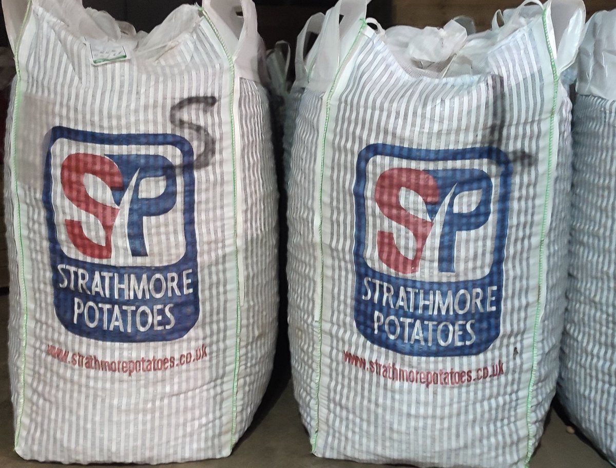 Scottish Maris Piper seed ready for delivery. Get in touch with any seed requirement you have, most varieties available and delivered when and where you require. 

strathmorepotatoes.co.uk
#quality #Scottish #seed #potatoes