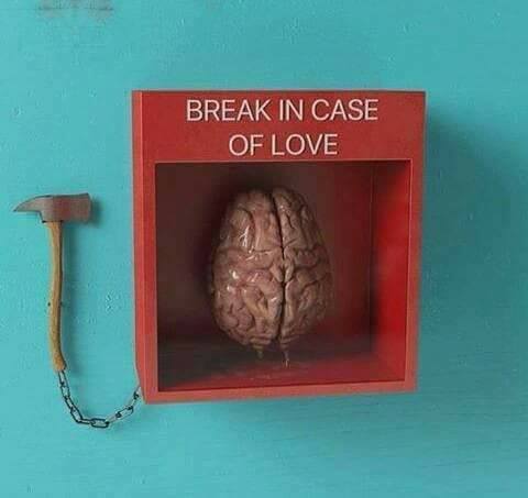 literlandweb1's tweet image. "Allí donde habla el corazón, es de mala educación que la razón lo contradiga".
Milan Kundera