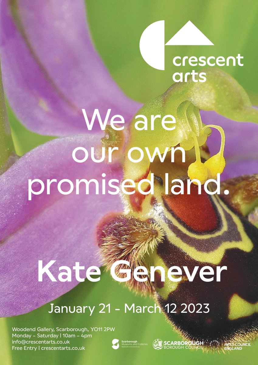 NEW EXHIBITION! 🚨 We are excited to announce our first show of 2023, ‘We Are Our Own Promised Land.’ is a new window installation which will radically transform the gallery space by Artist Kate Genever… bit.ly/3ZBSNcq