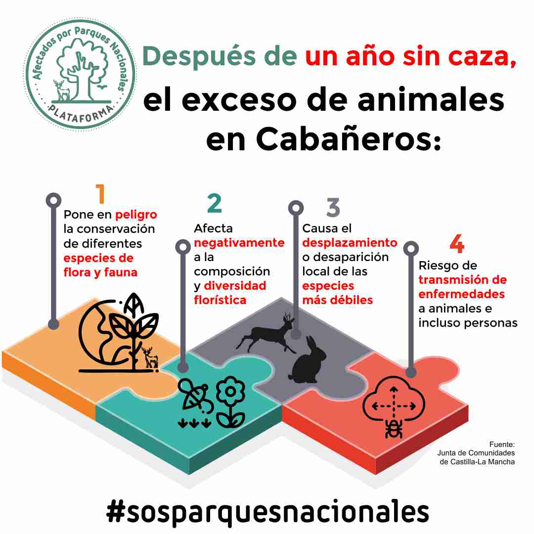 🔎 ¿Sabes qué pasa en un parque nacional cuando se pasa solo 1 año sin cazar?

❌ Fauna y flora en peligro
❌ Daños a la diversidad florística
❌ Desaparición de especies más débiles
❌ Riesgo de transmisión de enfermedades

#sosparquesnacionales