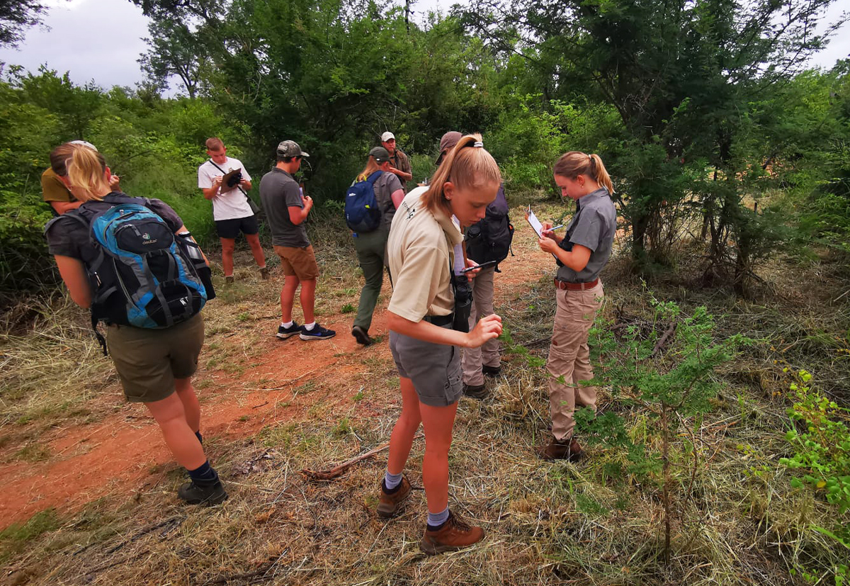 EcoTraining's tweet image. EcoTraining students enjoy a lovely morning in Selati whilst doing their Field Observation assessment. 

They use all their senses to observe and learn.

Learn more about our EcoTraining Courses HERE: 👉ecotraining.co.za/programs-cours…👈

📸 David Havemann

#EcoTraining #observeandlearn