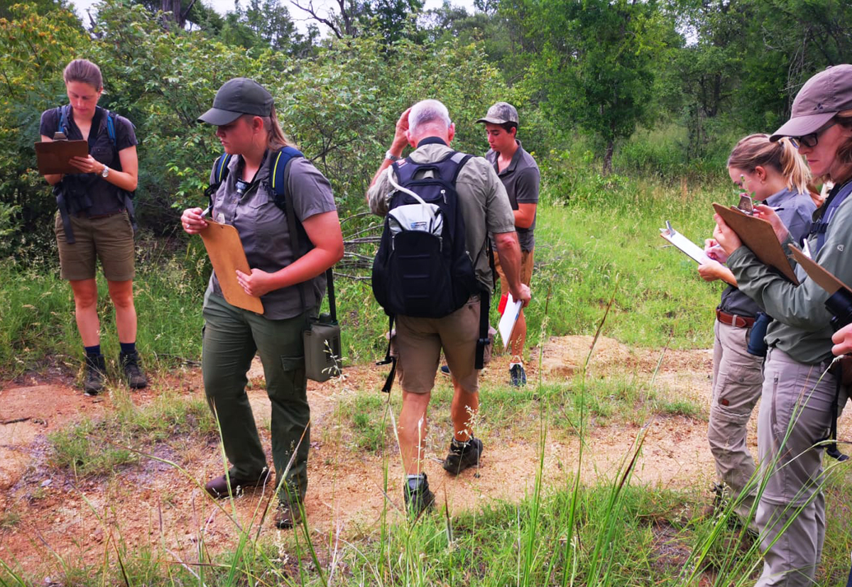 EcoTraining's tweet image. EcoTraining students enjoy a lovely morning in Selati whilst doing their Field Observation assessment. 

They use all their senses to observe and learn.

Learn more about our EcoTraining Courses HERE: 👉ecotraining.co.za/programs-cours…👈

📸 David Havemann

#EcoTraining #observeandlearn