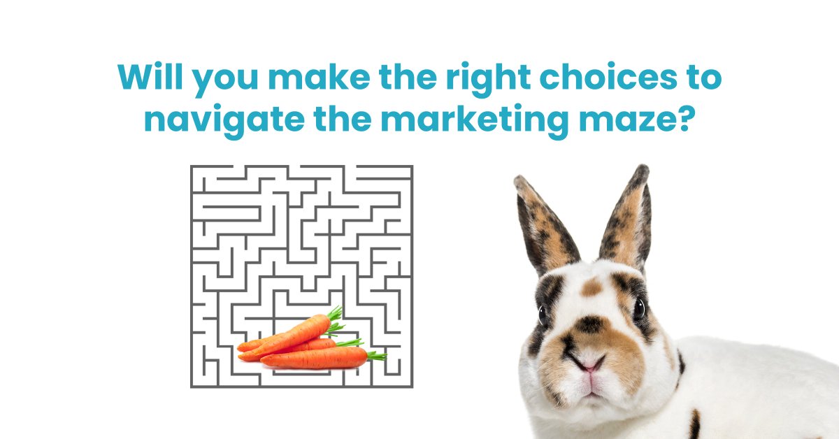 ANA•LITK tweet media