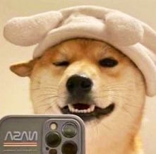 wish.u (rest💤) พี่ยีนหล่อมาก!🧟 tweet media