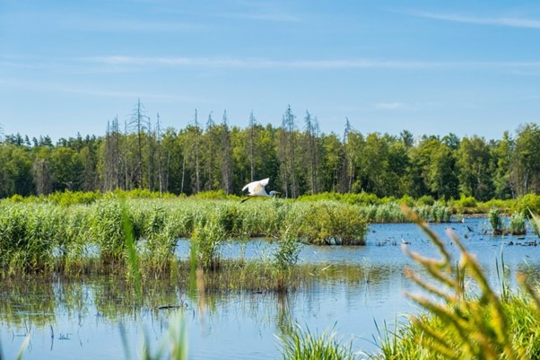 PROTECTING WILDLIFE IN CONSTRUCTION

James Powell, Graduate Environmental Advisor, discusses the measures implemented to safeguard wildlife during construction projects.

Read more here 👉 bit.ly/3QPfJRB

#Environment #Wildlife #Engineering #CivilEngineering