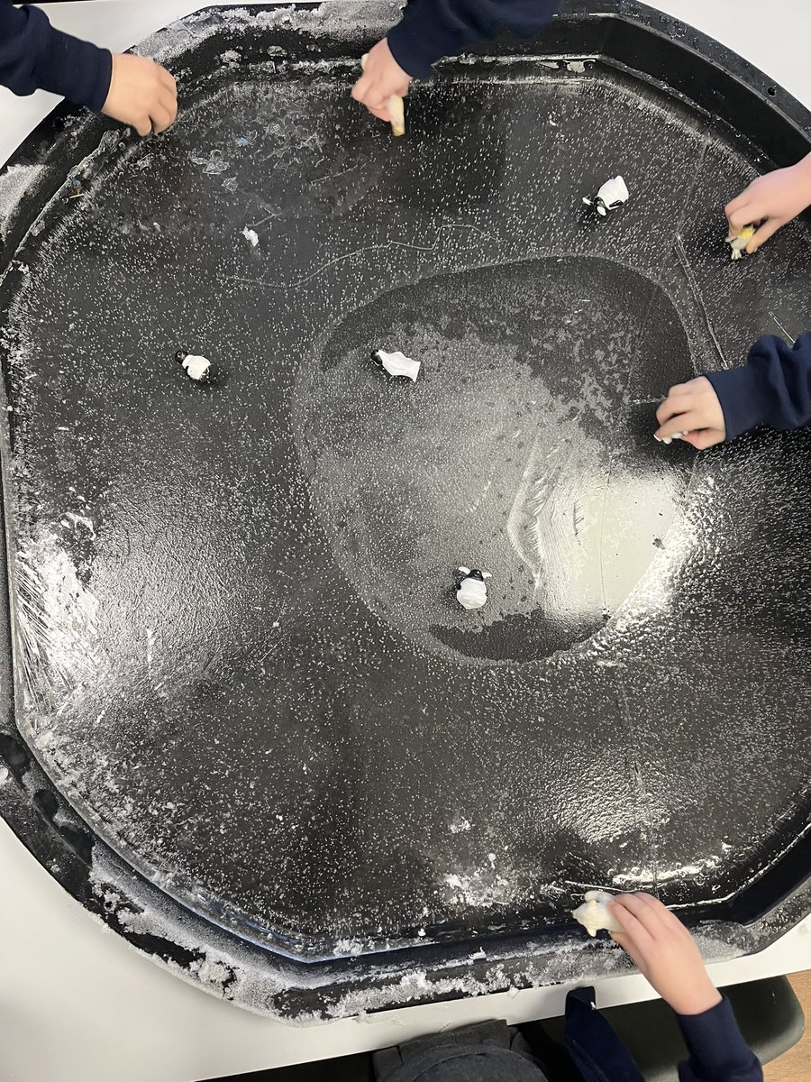 Mrs Callaghan tweet media