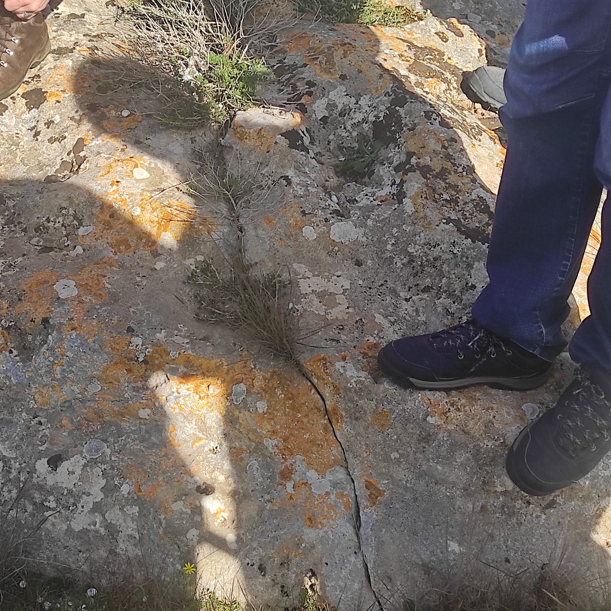 MarcoMeschis's tweet photo. First day field trip of @the_LEMON_wg Winter School in SW #Sicily with Prof. @LuigiFerranti3 explaining the tectonic processes, mostly continental collision-related thrusting with some strike slip movement, controlling the Plio-Pleistocene landscape of this area.
#LemonWS23 https://t.co/0v69eu9nUX