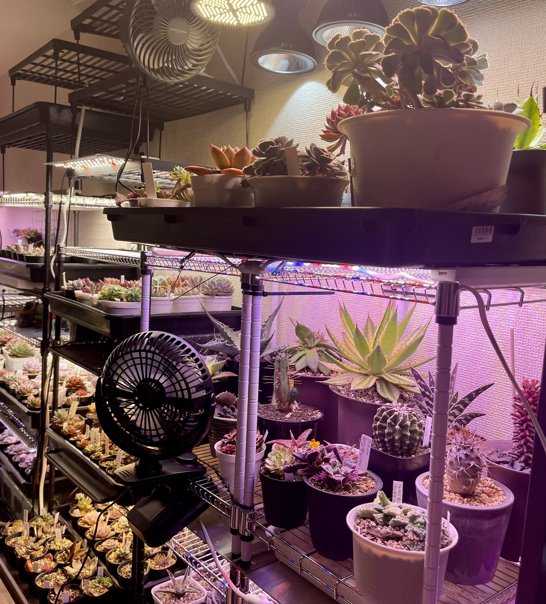 植物育成ライト - Search / X