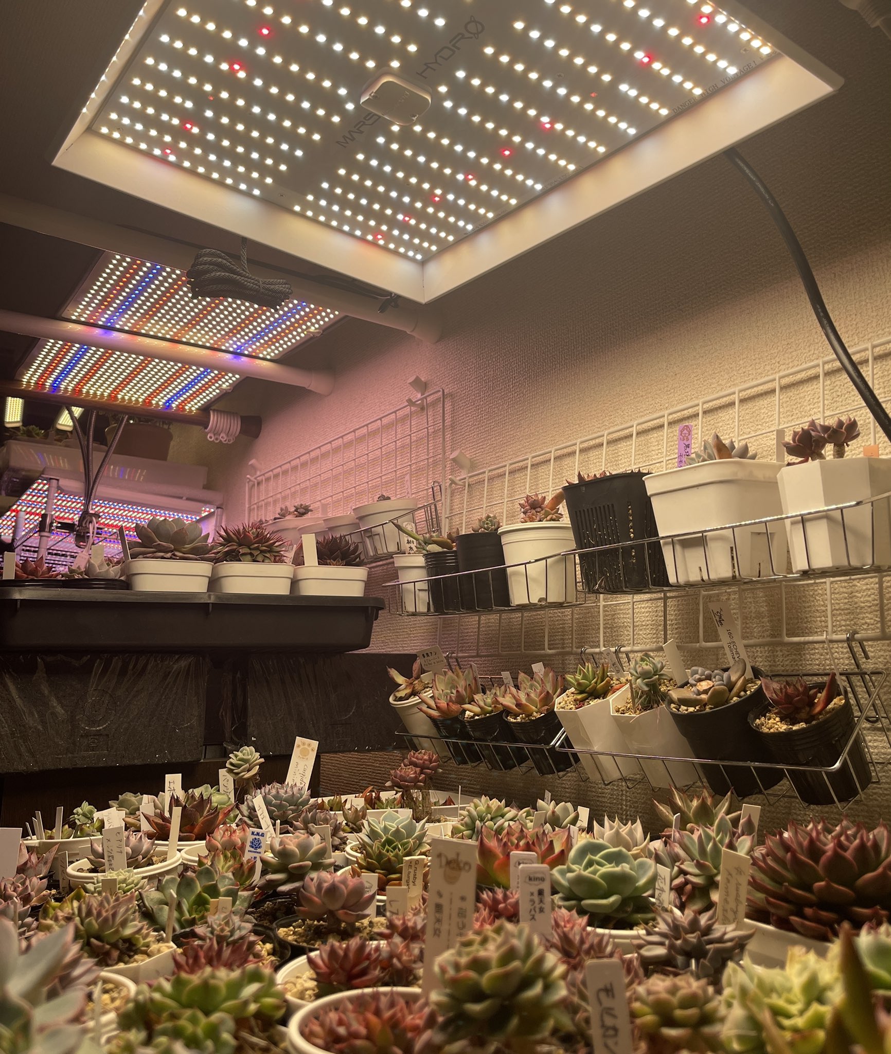 植物育成ライト - Search / X