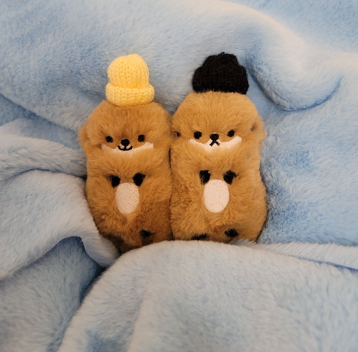 31호 수달씌 델구 가실분
팔로우+알티 해주신 한분 추첨🦦

1월25일까지
당발 1월26일 공지후 디엠 드려요~

사진속 수달씌 중 선택가능합니다~