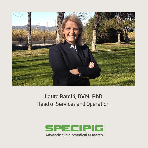 Specipig tweet media