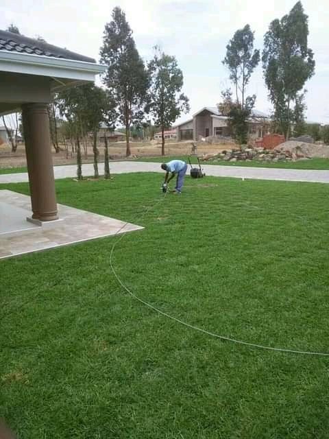BlessingMeya5's tweet photo. Sayonara landscaping services l do landscaping garden designing garden mantainance coll,0773199249 https://t.co/gBXG1iFQT7