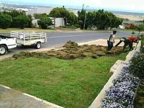 BlessingMeya5's tweet photo. Sayonara landscaping services l do landscaping garden designing garden mantainance coll,0773199249 https://t.co/gBXG1iFQT7