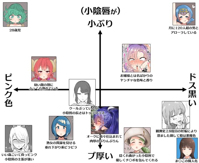 🔞小陰唇クソポジショニングマップの使用例 