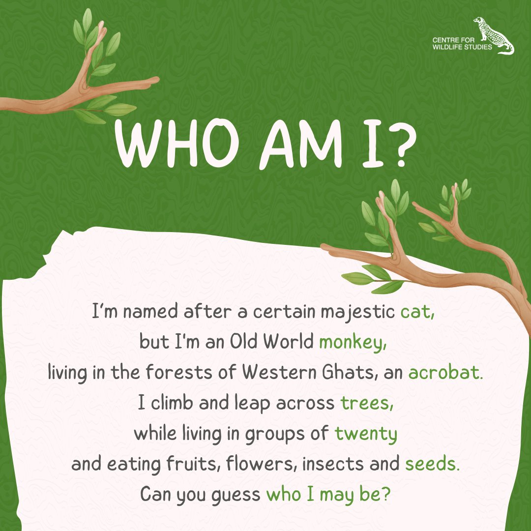 Who is this unique member of the #wild? Leave your guesses in the comments and we will pin the right ones! Keep an eye on our feed on Friday for the right answer to the last #riddle of this series!

#indianwildlife #wildlifequiz #conservation #wildlife #endangered #westernghats