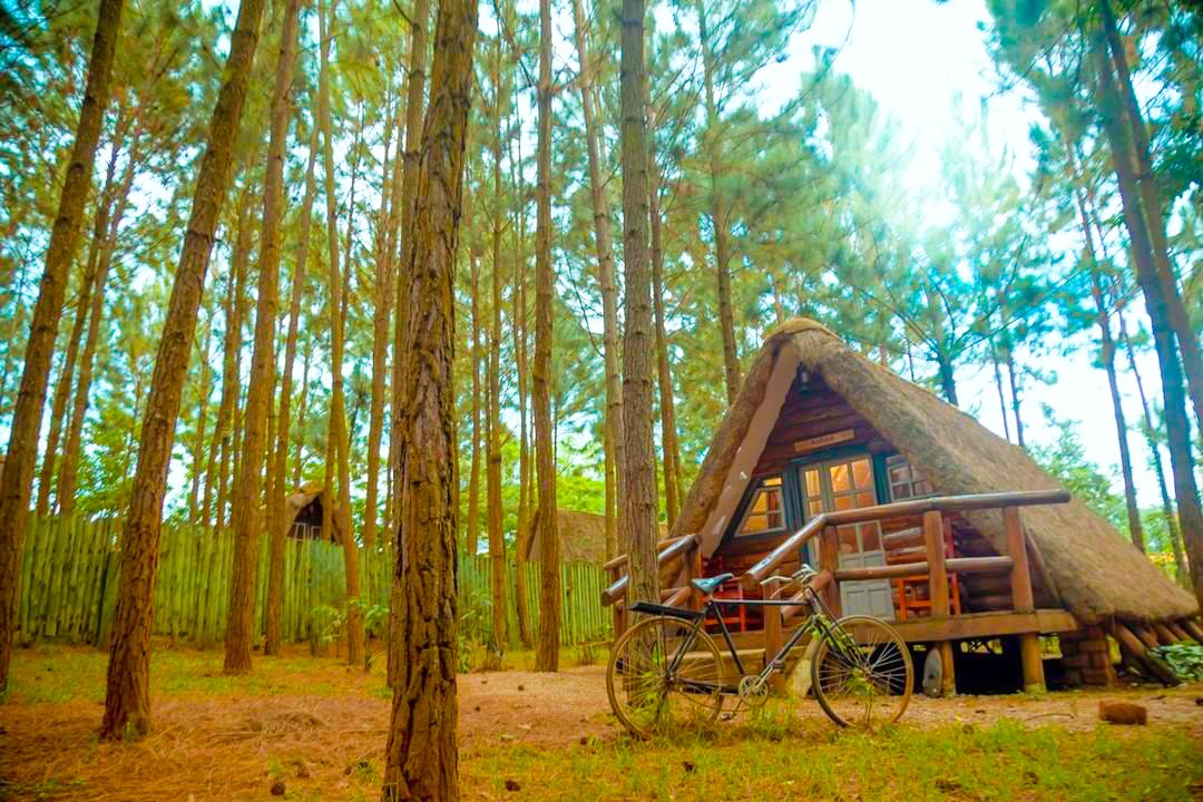 Nyunguforest's tweet photo. Elegant & glamorous! Are you ready yet to treat yourself to some 'ME TIME' in our spacious cottages? ๐ฅฐ
๐ฒSTAY-CATION IN THE WOODS๐
โ 0708060000
#DDRAtNyungu
#DisconnectDeclutterRenew
#Kyagulanyi
#nyunguyamaweforestpark
#visituganda
#tourismuganda https://t.co/Rx8JC0fmus