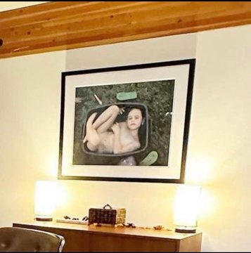 Internet confused after Jamie Lee Curtis posts, deletes pic showing artwork  in her office | WPDE