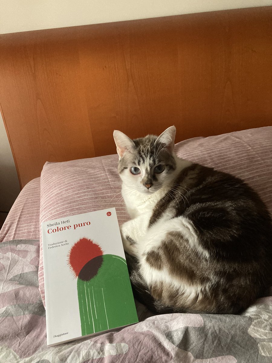 Micetty book influencer vi annuncia che Colore puro di Sheila Heti esce la settimana prossima, ma lei è raccomandata e ce l’ha già