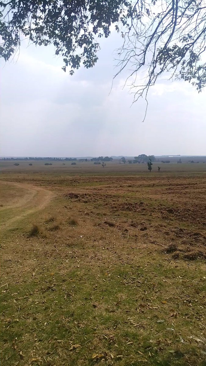 Tibiyo_Poultry's tweet photo. My new year resolution is plant 50 hectares 🌽🌽 and 100 hectares 🌱soya #farming #poultryfarming #poultry #chickens https://t.co/g2x7GUlEr3