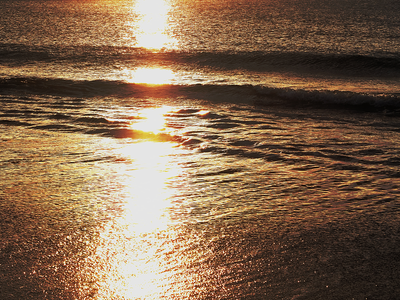 Rana_Lasagna's tweet image. 2022.12.30 撮影
赤羽根にて

#カコウミ