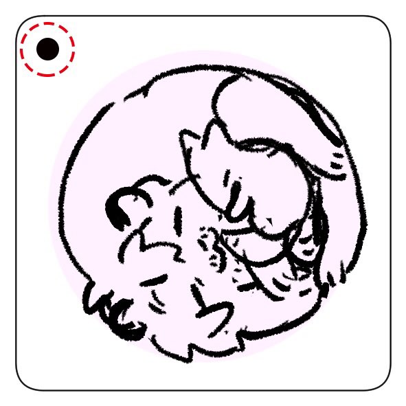 たぬへび🦝🐍ととらきつ🐯🦊 