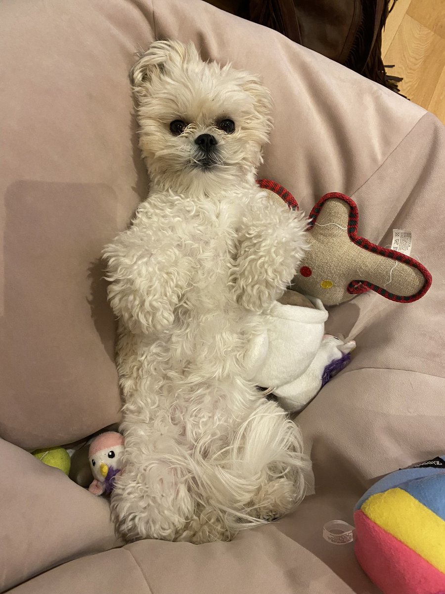 Orla Daly tweet media