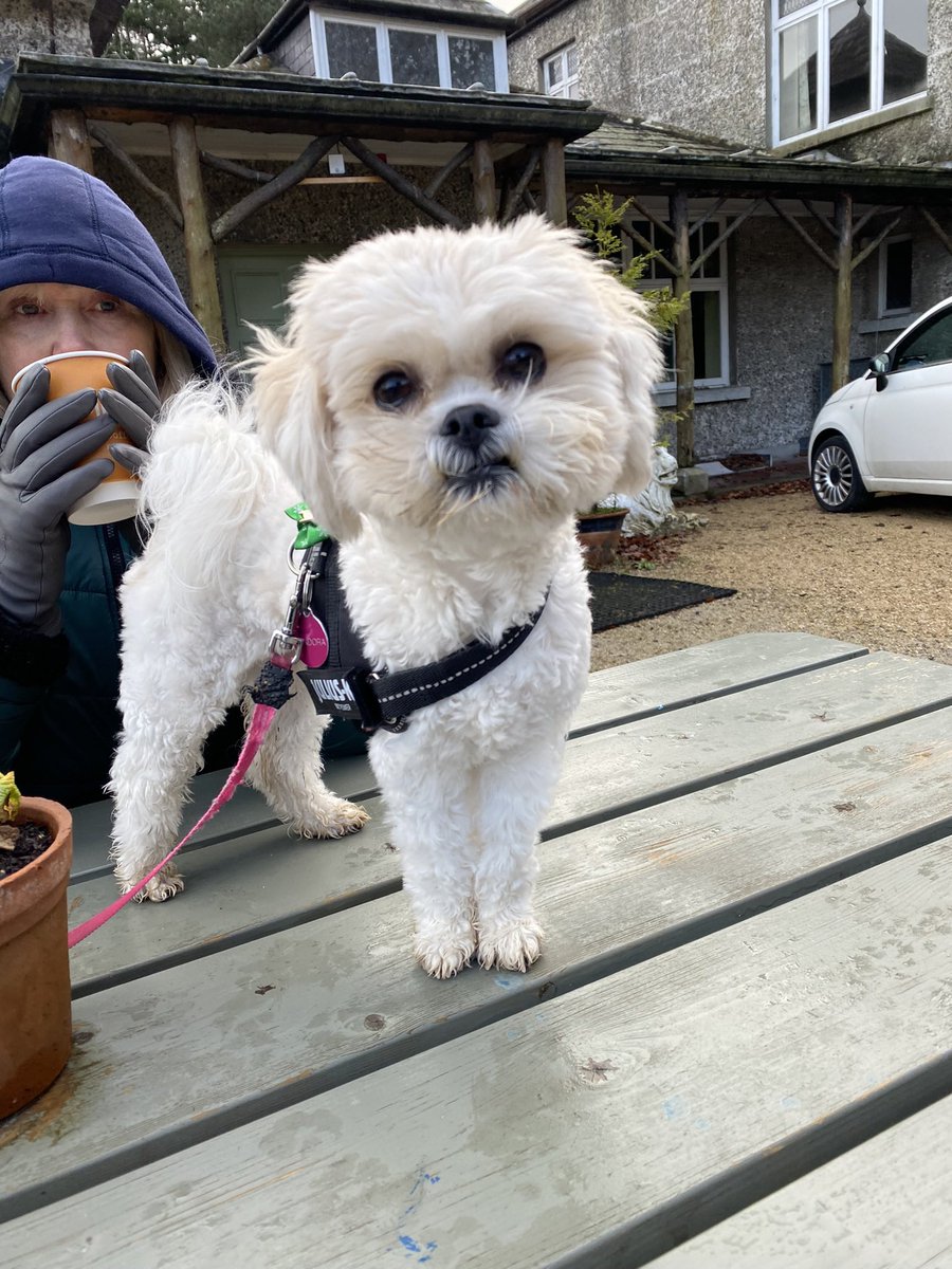 Orla Daly tweet media