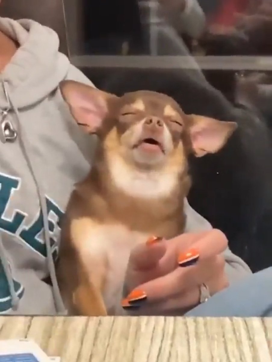 - la comida te da energía

yo después de comer: