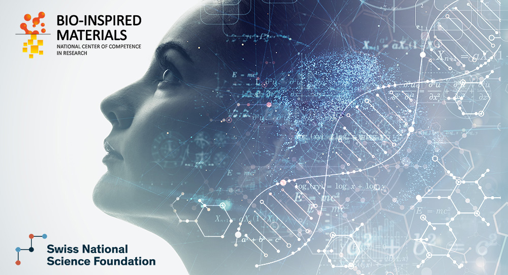 NCCR Bio-Inspired Materials (@nccrbioinspired) on Twitter photo Are you a talented female researcher wishing to pursue an academic #career in #science? Then consider applying for the <a href="/NCCRbioinspired/">NCCR Bio-Inspired Materials</a> Women in Science Fellowship, and join us at <a href="/MerkleInstitute/">AMI</a>, @SciMed_unifr, @epfl, or <a href="/ETH_en/">ETH Zurich</a>. All the info here bit.ly/NCCRgrant Are you a talented female researcher wishing to pursue an academic #career in #science? Then consider applying for the <a href="/NCCRbioinspired/">NCCR Bio-Inspired Materials</a> Women in Science Fellowship, and join us at <a href="/MerkleInstitute/">AMI</a>, @SciMed_unifr, @epfl, or <a href="/ETH_en/">ETH Zurich</a>. All the info here bit.ly/NCCRgrant