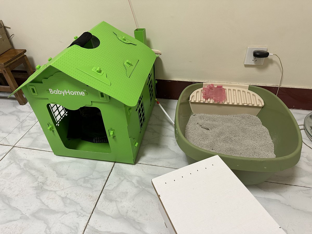 wicandow's tweet photo. 🐱 https://t.co/FbL1s3oIwG