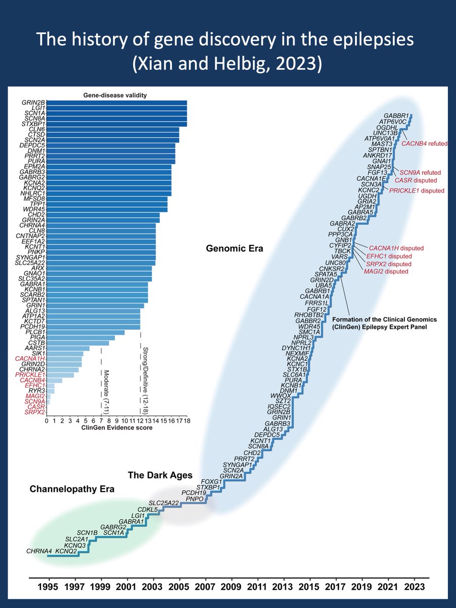 IngoHelbig's tweet image. The history of epilepsy genetics | Beyond the Ion Channel
epilepsygenetics.net/2023/01/18/the…