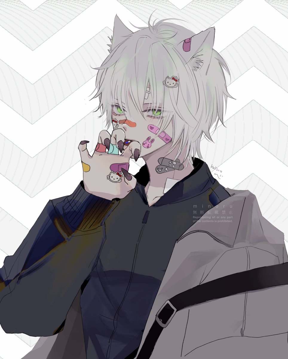 bandaid 1boy male focus animal ears green eyes bandaid on face white hair  illustration images