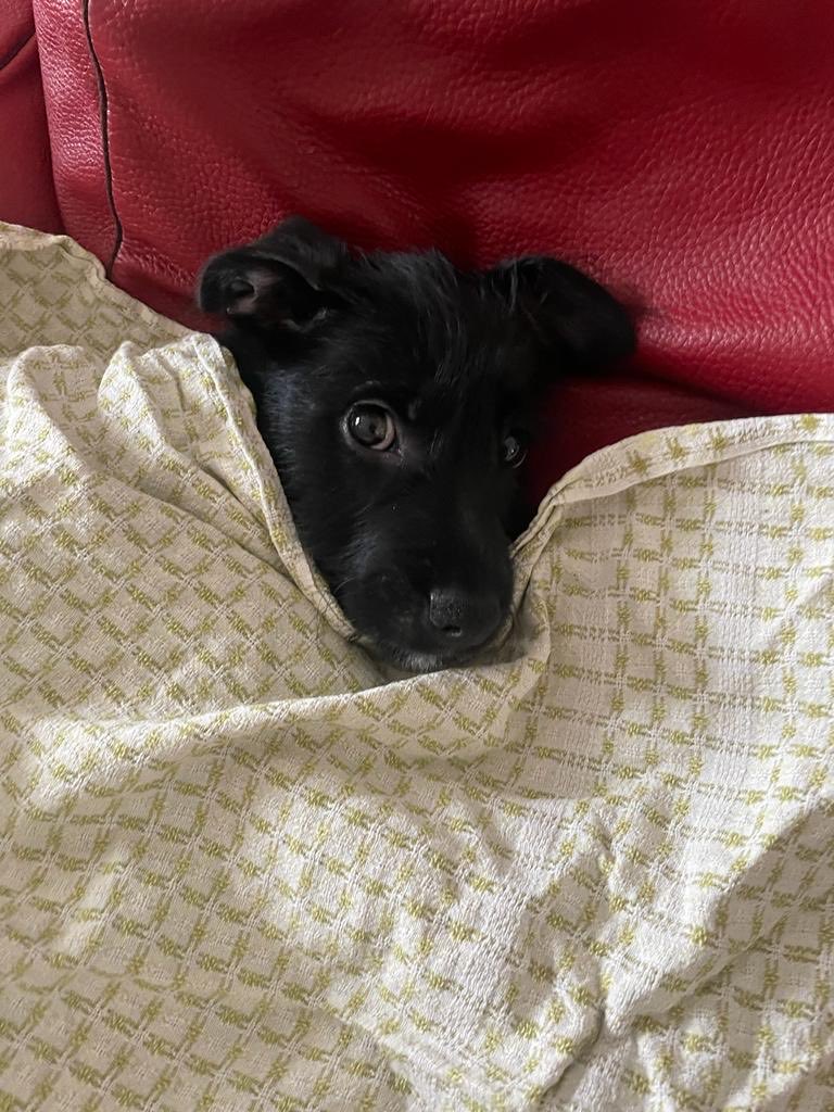 catherine durand (@cdurandmc) on Twitter photo 