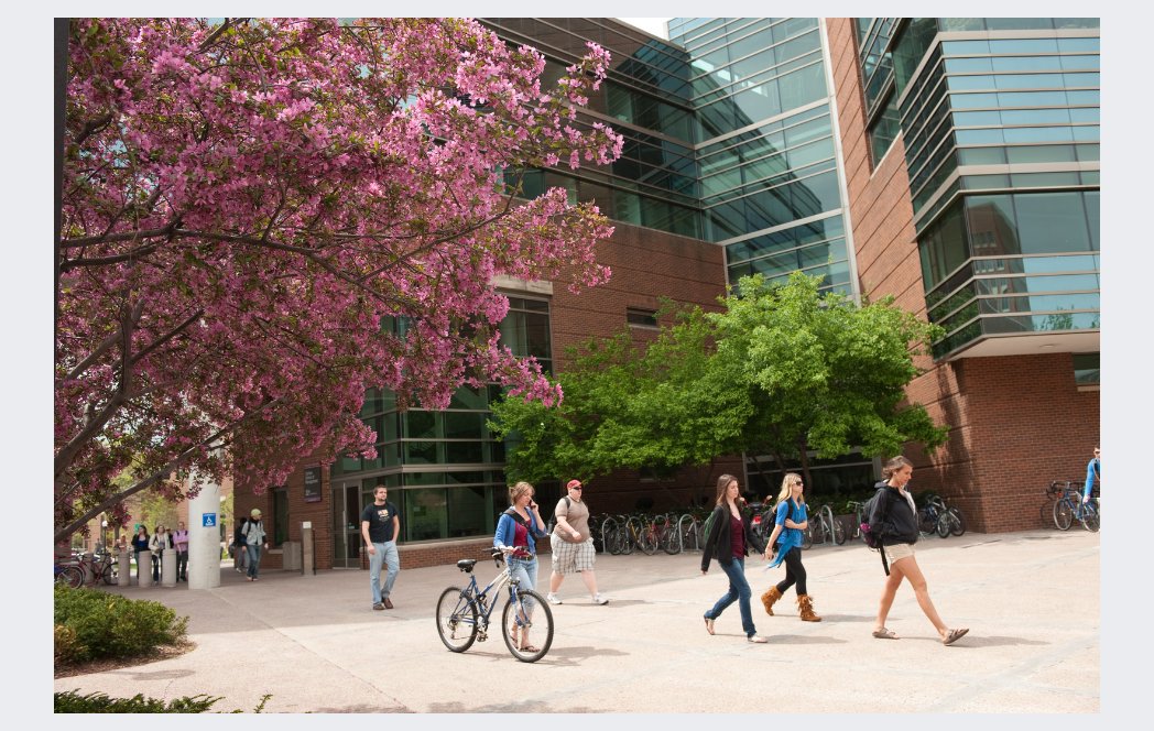Carlson_BACH's tweet photo. Welcome back to campus Gophers!! have a great spring semester ! https://t.co/zUquh4eJOB