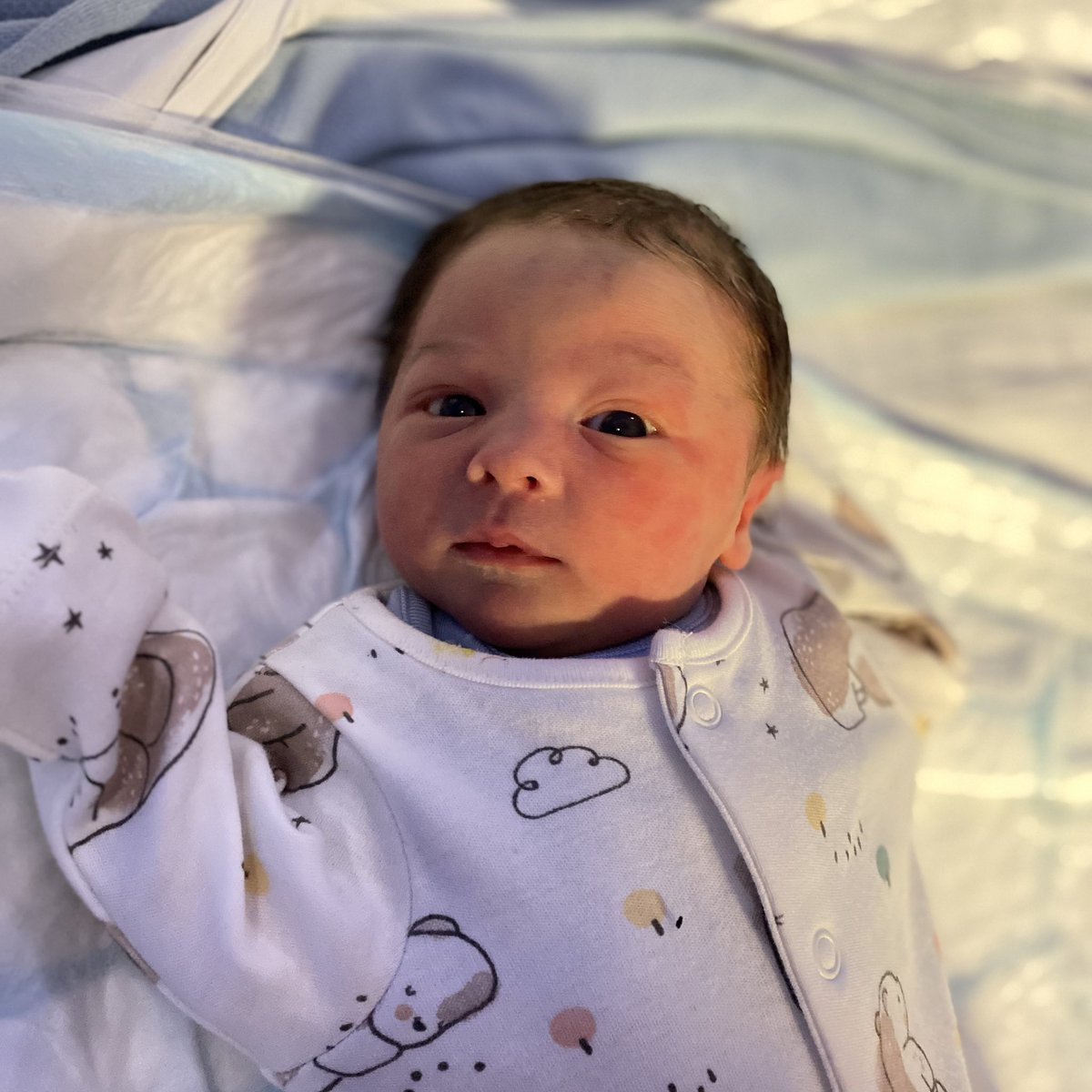 Annie Bowden tweet media