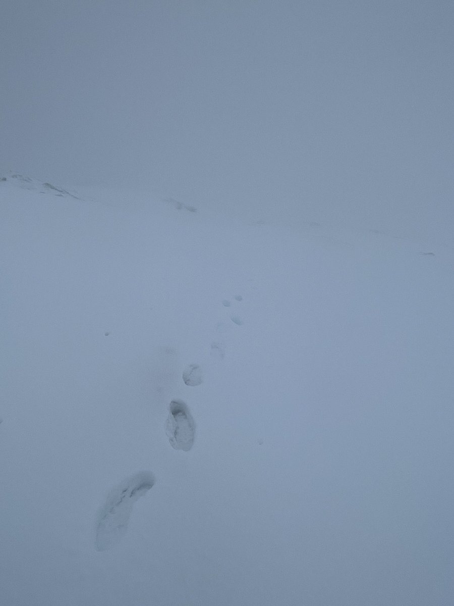 stuartyounie's tweet image. Last Fridays walk up Ben Dorain in full winter conditions, ideal for practicing those navigation skills! #ThinkWinter #SmartNav @Mountain_Scot @ScottishMR @glenmorelodge @PoliceScotland
