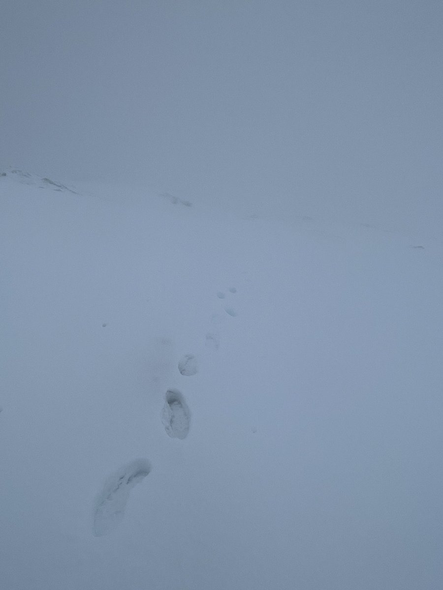 Last Fridays walk up Ben Dorain in full winter conditions, ideal for practicing those navigation skills! #ThinkWinter #SmartNav @Mountain_Scot @ScottishMR @glenmorelodge @PoliceScotland