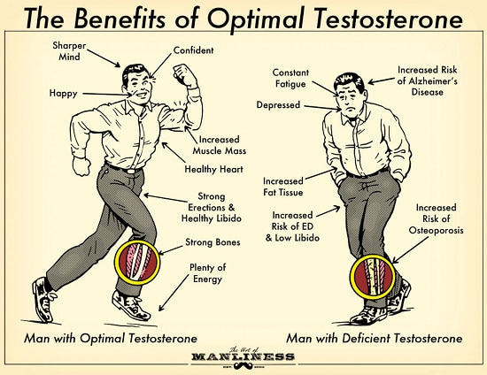 Testosterone